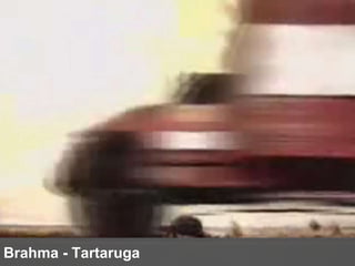 Brahma - Tartaruga 