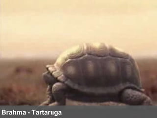 Brahma - Tartaruga 