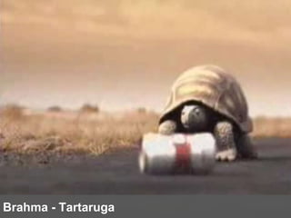 Brahma - Tartaruga 