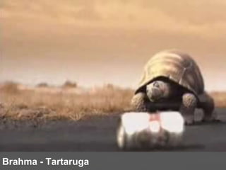 Brahma - Tartaruga 