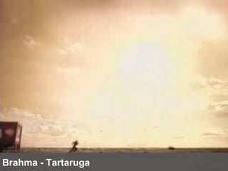 Brahma - Tartaruga 