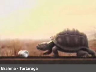 Brahma - Tartaruga 