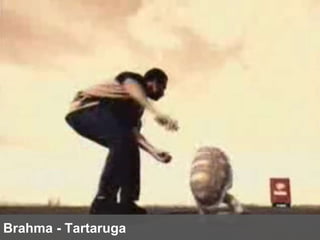 Brahma - Tartaruga 