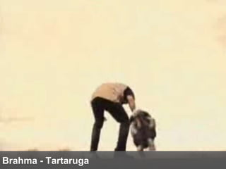 Brahma - Tartaruga 