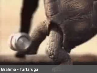 Brahma - Tartaruga 