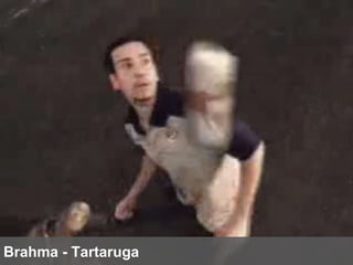 Brahma - Tartaruga 