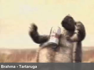 Brahma - Tartaruga 