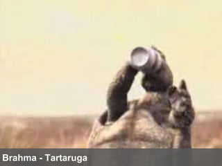 Brahma - Tartaruga 