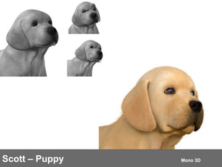Scott – Puppy  Mono 3D 