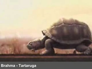 Brahma - Tartaruga 
