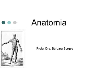 Anatomia
Profa. Dra. Bárbara Borges
 