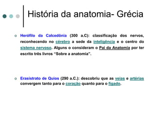 História da anatomia- Grécia
 Herófilo da Calcedônia (300 a.C): classificação dos nervos,
reconhecendo no cérebro a sede da inteligência e o centro do
sistema nervoso. Alguns o consideram o Pai da Anatomia por ter
escrito três livros “Sobre a anatomia”.
 Erasístrato de Quios (290 a.C.): descobriu que as veias e artérias
convergem tanto para o coração quanto para o fígado.
 