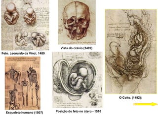 Feto. Leonardo da Vinci, 1489
O Coito. (1492):
Posição do feto no útero - 1510
Esqueleto humano (1507)
Vista do crânio (1489)
 