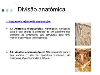 Divisão anatômica
1- Segundo o método de observação:
 1.1 Anatomia Microscópica (Histologia): Necessita
para o seu estudo a utilização de um aparelho que
aumente as dimensões das estruturas para uma
melhor observação (microscópio).
 1.2 Anatomia Macroscópica: Não necessita para o
seu estudo o uso de aparelhos especiais. As
estruturas são observadas a olho nu.
 