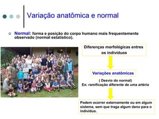 Variação anatômica e normal
 Normal: forma e posição do corpo humano mais frequentemente
observado (normal estatístico).
Diferenças morfológicas entres
os indivíduos
Variações anatômicas
( Desvio do normal)
Ex: ramificação diferente de uma artéria
Podem ocorrer externamente ou em algum
sistema, sem que traga algum dano para o
indivíduo.
 