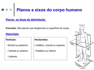 Planos e eixos do corpo humano
Planos ou faces de delimitação
Conceito: São planos que tangenciam a superfície do corpo
Descrição:
Verticais: Horizontais:
- Dorsal ou posterior. - Cefálico, cranial ou superior.
- Ventral ou anterior. - Podálico ou inferior.
- Laterais.
 