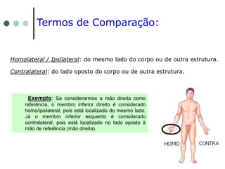 Homolateral / Ipsilateral: do mesmo lado do corpo ou de outra estrutura.
Contralateral: do lado oposto do corpo ou de outra estrutura.
Exemplo: Se considerarmos a mão direita como
referência, o membro inferior direito é considerado
homo/ipsilateral, pois está localizado do mesmo lado.
Já o membro inferior esquerdo é considerado
contralateral, pois está localizado no lado oposto à
mão de referência (mão direita).
Termos de Comparação:
 