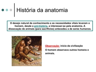 O desejo natural de conhecimento e as necessidades vitais levaram o
homem, desde a pré-história, a interessar-se pela anatomia. A
dissecação de animais (para sacrifícios) antecedeu a de seres humanos.
Observação: início da civilização
O homem observava outros homens e
animais.
História da anatomia
 