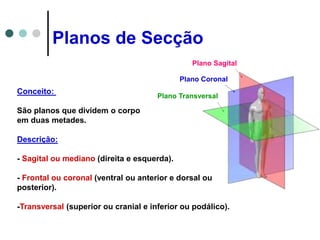 Planos de Secção
Plano Sagital
Plano Coronal
Plano Transversal
Conceito:
São planos que dividem o corpo
em duas metades.
Descrição:
- Sagital ou mediano (direita e esquerda).
- Frontal ou coronal (ventral ou anterior e dorsal ou
posterior).
-Transversal (superior ou cranial e inferior ou podálico).
 