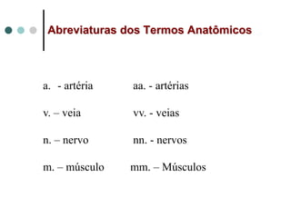 Abreviaturas dos Termos Anatômicos
a. - artéria aa. - artérias
v. – veia vv. - veias
n. – nervo nn. - nervos
m. – músculo mm. – Músculos
 