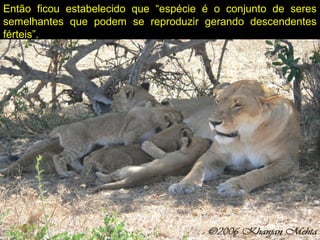 Então ficou estabelecido que “espécie é o conjunto de seres
semelhantes que podem se reproduzir gerando descendentes
férteis”.
 