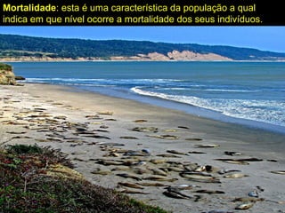 Mortalidade: esta é uma característica da população a qual
indica em que nível ocorre a mortalidade dos seus indivíduos.
 