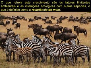 O que refreia este crescimento são os fatores limitantes
ambientais e as interações ecológicas com outras espécies, o
que é definido como a resistência do meio.
 
