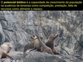 O potencial biótico é a capacidade de crescimento da população
na ausência de tensores como competição, predação, falta de
recursos como alimento e espaço.
 