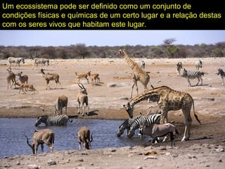 Um ecossistema pode ser definido como um conjunto de
condições físicas e químicas de um certo lugar e a relação destas
com os seres vivos que habitam este lugar.
 