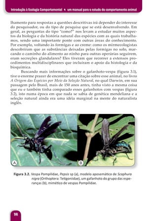 98
Introdução à Ecologia Comportamental ♦ um manual para o estudo do comportamento animal
lhamento para respostas a questões descritivas irá depender do interesse
do pesquisador, ou do tipo de pesquisa que se está desenvolvendo. Em
geral, as perguntas do tipo “como?” nos levam a estudar muitos aspec-
tos da biologia e da história natural das espécies com as quais trabalha-
mos, sendo uma importante ponte com outras áreas do conhecimento.
Por exemplo, voltando às formigas e ao creme: como os mirmecologistas
descobriram que as substâncias deixadas pelas formigas no solo, mar-
cando o caminho do alimento ao ninho para outras operárias seguirem,
eram secreções glandulares? Eles tiveram que recorrer a extensos pro-
cedimentos multidisciplinares que incluíram o apoio da histologia e da
bioquímica.
Buscando mais informações sobre o gafanhoto-vespa (figura 3.1),
tive o enorme prazer de encontrar uma citação sobre esse animal, no livro
A Origem das Espécies por Meio da Seleção Natural, no qual Darwin, em sua
passagem pelo Brasil, mais de 150 anos antes, tinha visto a mesma coisa
que eu e também tinha comparado esses gafanhotos com vespas (figura
3.2), isto numa época em que nada se sabia de genética mendeliana e a
seleção natural ainda era uma idéia marginal na mente do naturalista
inglês.
A B
Figura 3.2. Vespa Pompilidae, Pepsis sp (a), modelo aposemático de Scaphura
nigra (Orthoptera: Tetigoniidae), um gafanhoto do grupo das espe-
ranças (b), mimético de vespas Pompilidae.
 