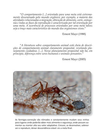 “O comportamento [...] orientado para uma meta está extrema-
mente disseminado pelo mundo orgânico; por exemplo, a maioria das
atividades relacionadas a migração, obtenção de alimento, corte, ontoge-
nia e todas as fases da reprodução é caracterizada por tal orientação por
uma meta. A ocorrência de processos orientados por uma meta talvez
seja o traço mais característico do mundo dos organismos vivos.”
Ernest Mayr (1988)
“A literatura sobre comportamento animal está cheia de descri-
ções de comportamento animal claramente proposital, revelando pla-
nejamento cuidadoso. [...]. Nesse planejamento proposital não há, em
princípio, diferença entre seres humanos e animais pensantes.”
Ernest Mayr (2005)
As formigas-correição são nômades e constantemente mudam seus ninhos
para lugares onde poderão obter mais alimento e segurança, onde possam au-
mentar ou manter alto seu valor adaptativo. Crescer, se desenvolver, sobrevi-
ver e reproduzir, deixar descendência viável: eis a meta final.
 
