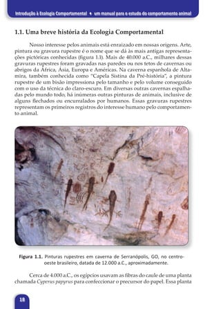 18
Introdução à Ecologia Comportamental ♦ um manual para o estudo do comportamento animal
1.1. Uma breve história da Ecologia Comportamental
Nosso interesse pelos animais está enraizado em nossas origens. Arte,
pintura ou gravura rupestre é o nome que se dá às mais antigas representa-
ções pictóricas conhecidas (figura 1.1). Mais de 40.000 a.C., milhares dessas
gravuras rupestres foram gravadas nas paredes ou nos tetos de cavernas ou
abrigos da África, Ásia, Europa e Américas. Na caverna espanhola de Alta-
mira, também conhecida como “Capela Sistina da Pré-história”, a pintura
rupestre de um bisão impressiona pelo tamanho e pelo volume conseguido
com o uso da técnica do claro-escuro. Em diversas outras cavernas espalha-
das pelo mundo todo, há inúmeras outras pinturas de animais, inclusive de
alguns flechados ou encurralados por humanos. Essas gravuras rupestres
representam os primeiros registros do interesse humano pelo comportamen-
to animal.
Figura 1.1. Pinturas rupestres em caverna de Serranópolis, GO, no centro-
oeste brasileiro, datada de 12.000 a.C., aproximadamente.
Cerca de 4.000 a.C., os egípcios usavam as fibras do caule de uma planta
chamada Cyperus papyrus para confeccionar o precursor do papel. Essa planta
 