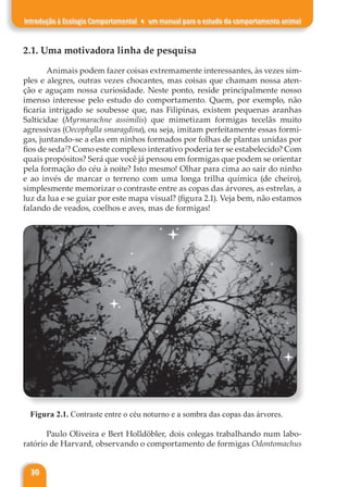 30
Introdução à Ecologia Comportamental ♦ um manual para o estudo do comportamento animal
2.1. Uma motivadora linha de pesquisa
Animais podem fazer coisas extremamente interessantes, às vezes sim-
ples e alegres, outras vezes chocantes, mas coisas que chamam nossa aten-
ção e aguçam nossa curiosidade. Neste ponto, reside principalmente nosso
imenso interesse pelo estudo do comportamento. Quem, por exemplo, não
ficaria intrigado se soubesse que, nas Filipinas, existem pequenas aranhas
Salticidae (Myrmarachne assimilis) que mimetizam formigas tecelãs muito
agressivas (Oecophylla smaragdina), ou seja, imitam perfeitamente essas formi-
gas, juntando-se a elas em ninhos formados por folhas de plantas unidas por
fios de seda2
? Como este complexo interativo poderia ter se estabelecido? Com
quais propósitos? Será que você já pensou em formigas que podem se orientar
pela formação do céu à noite? Isto mesmo! Olhar para cima ao sair do ninho
e ao invés de marcar o terreno com uma longa trilha química (de cheiro),
simplesmente memorizar o contraste entre as copas das árvores, as estrelas, a
luz da lua e se guiar por este mapa visual? (figura 2.1). Veja bem, não estamos
falando de veados, coelhos e aves, mas de formigas!
Figura 2.1. Contraste entre o céu noturno e a sombra das copas das árvores.
Paulo Oliveira e Bert Holldöbler, dois colegas trabalhando num labo-
ratório de Harvard, observando o comportamento de formigas Odontomachus
 