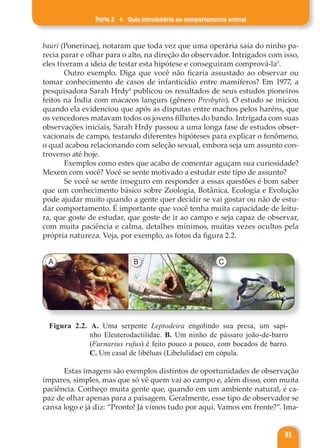 Parte 2 ♦ Guia introdutório ao comportamento animal
31
bauri (Ponerinae), notaram que toda vez que uma operária saía do ninho pa-
recia parar e olhar para o alto, na direção do observador. Intrigados com isso,
eles tiveram a ideia de testar esta hipótese e conseguiram comprová-la3
.
Outro exemplo. Diga que você não ficaria assustado ao observar ou
tomar conhecimento de casos de infanticídio entre mamíferos? Em 1977, a
pesquisadora Sarah Hrdy4
publicou os resultados de seus estudos pioneiros
feitos na Índia com macacos langurs (gênero Presbytis). O estudo se iniciou
quando ela evidenciou que após as disputas entre machos pelos haréns, que
os vencedores matavam todos os jovens filhotes do bando. Intrigada com suas
observações iniciais, Sarah Hrdy passou a uma longa fase de estudos obser-
vacionais de campo, testando diferentes hipóteses para explicar o fenômeno,
o qual acabou relacionando com seleção sexual, embora seja um assunto con-
troverso até hoje.
Exemplos como estes que acabo de comentar aguçam sua curiosidade?
Mexem com você? Você se sente motivado a estudar este tipo de assunto?
Se você se sente inseguro em responder a essas questões é bom saber
que um conhecimento básico sobre Zoologia, Botânica, Ecologia e Evolução
pode ajudar muito quando a gente quer decidir se vai gostar ou não de estu-
dar comportamento. É importante que você tenha muita capacidade de leitu-
ra, que goste de estudar, que goste de ir ao campo e seja capaz de observar,
com muita paciência e calma, detalhes mínimos, muitas vezes ocultos pela
própria natureza. Veja, por exemplo, as fotos da figura 2.2.
A B C
Figura 2.2. A. Uma serpente Leptodeira engolindo sua presa, um sapi-
nho Eleuterodactilidae. B. Um ninho de pássaro joão-de-barro
(Furnarius rufus) é feito pouco a pouco, com bocados de barro.
C. Um casal de libéluas (Libelulidae) em cópula.
Estas imagens são exemplos distintos de oportunidades de observação
ímpares, simples, mas que só vê quem vai ao campo e, além disso, com muita
paciência. Conheço muita gente que, quando em um ambiente natural, é ca-
paz de olhar apenas para a paisagem. Geralmente, esse tipo de observador se
cansa logo e já diz: “Pronto! Já vimos tudo por aqui. Vamos em frente?”. Ima-
 