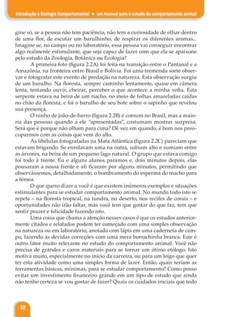32
Introdução à Ecologia Comportamental ♦ um manual para o estudo do comportamento animal
gine só, se a pessoa não tem paciência, não tem a curiosidade de olhar dentro
de uma flor, de escutar um barulhinho, de respirar os diferentes aromas...
Imagine se, no campo ou no laboratório, essa pessoa vai conseguir encontrar
algo realmente estimulante, que seja capaz de fazer com que ela se apaixone
pelo estudo da Zoologia, Botânica ou Ecologia?
A primeira foto (figura 2.2A) foi feita na transição entre o Pantanal e a
Amazônia, na fronteira entre Brasil e Bolívia. Foi uma tremenda sorte obser-
var e fotografar este evento de predação na natureza. Esta observação surgiu
de um barulho. Na floresta, sempre caminho lentamente, quase em câmera
lenta, tentando ouvir, cheirar, perceber o que acontece a minha volta. Esta
serpente estava na beira de um riacho, no meio de folhas amareladas caídas
no chão da floresta, e foi o barulho de seu bote sobre o sapinho que revelou
sua presença.
O ninho de joão-de-barro (figura 2.2B) é comum no Brasil, mas a maio-
ria das pessoas quando a ele “apresentadas”, costumam mostrar surpresa.
Será que é porque não olham para cima? Dê vez em quando, é bom nos preo-
cuparmos com as coisas que vem do alto.
As libélulas fotografadas na Mata Atlântica (figura 2.2C) pareciam que
estavam brigando. Se enrolavam uma na outra, subiam alto e sumiam entre
as árvores, na beira de um pequeno lago natural. O grupo que estava comigo
foi todo à frente. Eu e alguns alunos paramos e, dois minutos depois, elas
pousaram a nossa frente e ali ficaram por alguns minutos, permitindo que
observássemos, detalhadamente, o bombeamento do esperma do macho para
a fêmea.
O que quero dizer a você é que existem inúmeros exemplos e situações
estimulantes para se estudar comportamento animal. No mundo todo isto se
repete – na floresta tropical, na tundra, no deserto, nos recifes de corais – e
oportunidades não irão faltar, mas você tem que gostar do que faz, tem que
sentir prazer e felicidade fazendo isto.
Uma coisa que chama a atenção nesses casos é que os estudos anterior-
mente citados e relatados podem ter começado com uma simples observação
na natureza ou em laboratório, anotada com lápis em uma caderneta de cam-
po, fazendo as devidas correções com uma mera borrachinha branca. Este é
outro fator muito relevante no estudo do comportamento animal. Você não
precisa de grandes e caros materiais para se tornar um ótimo etólogo. Isto
motiva muito, especialmente no início da carreira, ou para um leigo que quer
ter esta atividade como uma simples forma de lazer. Então, quais seriam as
ferramentas básicas, mínimas, para se estudar comportamento? Como posso
evitar um investimento financeiro grande em um tipo de estudo que ainda
não tenho certeza se vou gostar de fazer? Quais os cuidados iniciais que todo
 