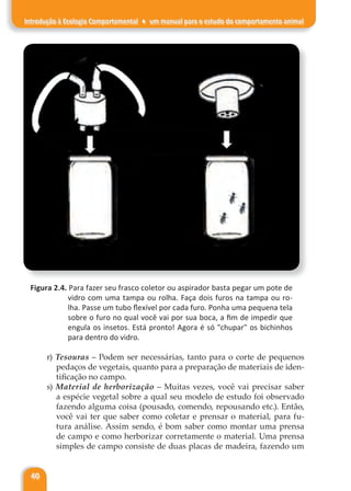 40
Introdução à Ecologia Comportamental ♦ um manual para o estudo do comportamento animal
Figura 2.4. Para fazer seu frasco coletor ou aspirador basta pegar um pote de
vidro com uma tampa ou rolha. Faça dois furos na tampa ou ro-
lha. Passe um tubo flexível por cada furo. Ponha uma pequena tela
sobre o furo no qual você vai por sua boca, a fim de impedir que
engula os insetos. Está pronto! Agora é só "chupar" os bichinhos
para dentro do vidro.
r) Tesouras – Podem ser necessárias, tanto para o corte de pequenos
pedaços de vegetais, quanto para a preparação de materiais de iden-
tificação no campo.
s) Material de herborização – Muitas vezes, você vai precisar saber
a espécie vegetal sobre a qual seu modelo de estudo foi observado
fazendo alguma coisa (pousado, comendo, repousando etc.). Então,
você vai ter que saber como coletar e prensar o material, para fu-
tura análise. Assim sendo, é bom saber como montar uma prensa
de campo e como herborizar corretamente o material. Uma prensa
simples de campo consiste de duas placas de madeira, fazendo um
 