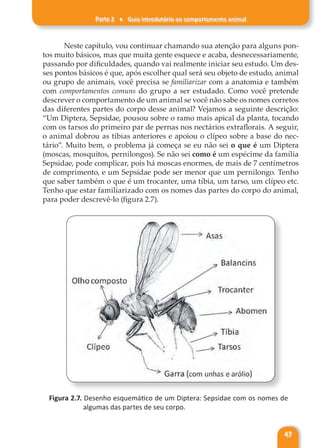 Parte 2 ♦ Guia introdutório ao comportamento animal
47
Neste capítulo, vou continuar chamando sua atenção para alguns pon-
tos muito básicos, mas que muita gente esquece e acaba, desnecessariamente,
passando por dificuldades, quando vai realmente iniciar seu estudo. Um des-
ses pontos básicos é que, após escolher qual será seu objeto de estudo, animal
ou grupo de animais, você precisa se familiarizar com a anatomia e também
com comportamentos comuns do grupo a ser estudado. Como você pretende
descrever o comportamento de um animal se você não sabe os nomes corretos
das diferentes partes do corpo desse animal? Vejamos a seguinte descrição:
“Um Diptera, Sepsidae, pousou sobre o ramo mais apical da planta, tocando
com os tarsos do primeiro par de pernas nos nectários extraflorais. A seguir,
o animal dobrou as tíbias anteriores e apoiou o clípeo sobre a base do nec-
tário”. Muito bem, o problema já começa se eu não sei o que é um Diptera
(moscas, mosquitos, pernilongos). Se não sei como é um espécime da família
Sepsidae, pode complicar, pois há moscas enormes, de mais de 7 centímetros
de comprimento, e um Sepsidae pode ser menor que um pernilongo. Tenho
que saber também o que é um trocanter, uma tíbia, um tarso, um clípeo etc.
Tenho que estar familiarizado com os nomes das partes do corpo do animal,
para poder descrevê-lo (figura 2.7).
Figura 2.7. Desenho esquemático de um Diptera: Sepsidae com os nomes de
algumas das partes de seu corpo.
 