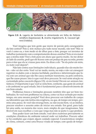 50
Introdução à Ecologia Comportamental ♦ um manual para o estudo do comportamento animal
A B C
Figura 2.9. A. Lagarta de borboleta se alimentando em folha de Polteria
ramiflora (Sapotaceae). B. Aranha migalomorfa. C. Cascavel (gê-
nero Crotalus).
Você imagina que tem gente que morre de paixão pela caranguejeira
da foto central? Pois é, tem maluco pra tudo nesse mundo, não tem? Mas se
você é como eu, e tem medo só de olhar para a foto, porque vai inventar de
trabalhar justamente com o comportamento dessas aranhas? Esta aí era maior
que a minha mão! Tirei a foto para um aluno que queria muito. Ao me deitar
ao lado da aranha, pedi que ele ficasse com um pedaço de pau na mão, pronto
para evitar que ela se virasse para mim. Eu disse a ele: “Se ela pular em mim,
eu mato você depois!”.
Não lute contra suas limitações individuais, quando elas são muito for-
tes – não vai dar certo. Você vai ter medo, receio, ou nojo e não vai conseguir
registrar os dados com a mesma facilidade, paciência e determinação que fa-
ria com um animal que não lhe causa nenhum transtorno, ou pelo contrário,
que lhe cause prazer. Isto é o que você deve procurar. Se você sente atração ou
curiosidade pelas cascavéis (figura 2.9), vá em frente! Devem ser animais fan-
tásticos. O importante é que você se sinta bem, confiante, que goste do animal
e do ambiente no qual estuda. Isto é fundamental para o desenvolvimento de
um bom estudo.
Problemas físicos e limitações pessoais também têm que ser bem tra-
balhados. Se você tem problemas na coluna, como vai ficar sentado por muito
tempo, em uma mesma posição? Você deve procurar um trabalho de campo
ou laboratório que não tenha esta exigência, ou que, de tempo em tempo, per-
mita uma pausa. Se você não enxerga bem, ou não escuta bem, vá ao médico,
procure resolver o assunto antes de iniciar seu estudo. Em geral, para tudo
há uma saída, na maioria das vezes, mais simples do que imaginamos. Seja
flexível em suas escolhas: a vara que verga mas não se parte é a que perdura.
Para poder fazer um bom estudo, você deve examinar previamente as
condições climáticas do ambiente natural onde vai trabalhar. Procure saber
se há condições que exijam algum cuidado especial. Características simples
do clima, comuns, como uma brusca virada de tempo, com queda de tempe-
 