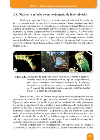 Parte 2 ♦ Guia introdutório ao comportamento animal
57
2.6. Dicas para estudar o comportamento de invertebrados
Onde quer que você esteja, a maioria dos animais será formada por
invertebrados e mais de dois terços dos animais existentes serão artrópodes.
Esta é uma estimativa que, a cada dia mais, se torna confiável. Devido a esta
enorme abundância, há inúmeras espécies e muitos gêneros e famílias, to-
talmente, ou quase completamente, desconhecidas da ciência. A diversidade
representada pelo número de espécies irá refletir em uma diversidade pro-
porcional de diferentes tipos de comportamentos exibidos por esses animais,
com a finalidade de solucionar os três problemas básicos de todo organismo:
crescer e se desenvolver (figura 2.12A), sobreviver (figura 2.12) e se reproduzir
(figura 2.12C).
A B C
Figura 2.12. As lagartas de borboleta (A) em fase de crescimento e desenvol-
vimento precisam se alimentar, além de fugir de seus predadores,
pois tanto as borboletas jovens quanto as adultas (B) são alimento
de muitos consumidores secundários e terciários da cadeia trófi-
ca. A maioria das borboletas coloca seus ovos em folhas, botões
florais (C) e flores de angiospermas.
Sendo assim, tanto as formas jovens quanto os invertebrados adultos
representam uma excelente oportunidade de estudo para naturalistas e etó-
logos em todos os níveis, desde leigos até os profissionais mais graduados.
Há desde pesquisadores que estudam o comportamento de protozoários do
rúmen de bovinos e equinos8
até aqueles que estudam os complexos compor-
tamentos sociais em artrópodes9
– as possibilidades são infinitas. Como em
tudo, há vantagens e desvantagens para se escolher um invertebrado como
modelo de estudo. Na tabela 2.2, tentei listar as principais características po-
sitivas e negativas para o estudo desse grupo, em especial dos artrópodes,
quando comparados à maioria dos vertebrados.
Minha história com os invertebrados, em especial com os insetos e
aracnídeos, é uma história de coincidências, acasos e oportunidades. Como
 