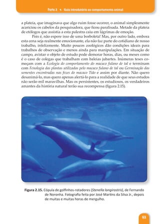 Parte 2 ♦ Guia introdutório ao comportamento animal
63
a plateia, que imaginava que algo ruim fosse ocorrer, o animal simplesmente
acariciou os cabelos da pesquisadora, que ficou paralisada. Metade da plateia
de etólogos que assistia a esta palestra caiu em lágrimas de emoção.
Pois é, não espere isso de uma borboleta! Mas, por outro lado, embora
esta cena seja realmente emocionante, ela não faz parte do cotidiano de nosso
trabalho, infelizmente. Muito poucos zoológicos dão condições ideais para
trabalhos de observação e menos ainda para manipulações. Em situação de
campo, avistar o objeto de estudo pode demorar horas, dias, ou meses como
é o caso de colegas que trabalham com baleias jubartes. Inúmeras teses co-
meçam com a Ecologia do comportamento do macaco fulano de tal e terminam
com Fenologia das plantas utilizadas pelo macaco fulano de tal ou Germinação das
sementes encontradas nas fezes do macaco Tião e assim por diante. Não quero
desanimá-lo, mas quero apenas alertá-lo para a realidade de que seus estudos
não serão mil maravilhas. Mas os persistentes, os estudiosos, os verdadeiros
amantes da história natural terão sua recompensa (figura 2.15).
Figura 2.15. Cópula de golfinhos-rotadores (Stenella longirostris), de Fernando
de Noronha. Fotografia feita por José Martins da Silva Jr., depois
de muitas e muitas horas de mergulho.
 