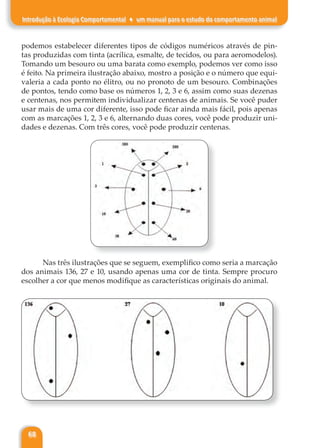 68
Introdução à Ecologia Comportamental ♦ um manual para o estudo do comportamento animal
podemos estabelecer diferentes tipos de códigos numéricos através de pin-
tas produzidas com tinta (acrílica, esmalte, de tecidos, ou para aeromodelos).
Tomando um besouro ou uma barata como exemplo, podemos ver como isso
é feito. Na primeira ilustração abaixo, mostro a posição e o número que equi-
valeria a cada ponto no élitro, ou no pronoto de um besouro. Combinações
de pontos, tendo como base os números 1, 2, 3 e 6, assim como suas dezenas
e centenas, nos permitem individualizar centenas de animais. Se você puder
usar mais de uma cor diferente, isso pode ficar ainda mais fácil, pois apenas
com as marcações 1, 2, 3 e 6, alternando duas cores, você pode produzir uni-
dades e dezenas. Com três cores, você pode produzir centenas.
Nas três ilustrações que se seguem, exemplifico como seria a marcação
dos animais 136, 27 e 10, usando apenas uma cor de tinta. Sempre procuro
escolher a cor que menos modifique as características originais do animal.
 