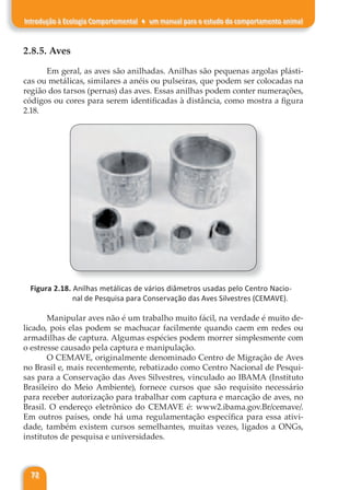 72
Introdução à Ecologia Comportamental ♦ um manual para o estudo do comportamento animal
2.8.5. Aves
Em geral, as aves são anilhadas. Anilhas são pequenas argolas plásti-
cas ou metálicas, similares a anéis ou pulseiras, que podem ser colocadas na
região dos tarsos (pernas) das aves. Essas anilhas podem conter numerações,
códigos ou cores para serem identificadas à distância, como mostra a figura
2.18.
Figura 2.18. Anilhas metálicas de vários diâmetros usadas pelo Centro Nacio-
nal de Pesquisa para Conservação das Aves Silvestres (CEMAVE).
Manipular aves não é um trabalho muito fácil, na verdade é muito de-
licado, pois elas podem se machucar facilmente quando caem em redes ou
armadilhas de captura. Algumas espécies podem morrer simplesmente com
o estresse causado pela captura e manipulação.
O CEMAVE, originalmente denominado Centro de Migração de Aves
no Brasil e, mais recentemente, rebatizado como Centro Nacional de Pesqui-
sas para a Conservação das Aves Silvestres, vinculado ao IBAMA (Instituto
Brasileiro do Meio Ambiente), fornece cursos que são requisito necessário
para receber autorização para trabalhar com captura e marcação de aves, no
Brasil. O endereço eletrônico do CEMAVE é: www2.ibama.gov.Br/cemave/.
Em outros países, onde há uma regulamentação específica para essa ativi-
dade, também existem cursos semelhantes, muitas vezes, ligados a ONGs,
institutos de pesquisa e universidades.
 