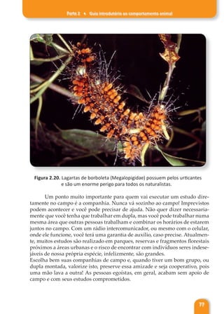 Parte 2 ♦ Guia introdutório ao comportamento animal
77
Figura 2.20. Lagartas de borboleta (Megalopigidae) possuem pelos urticantes
e são um enorme perigo para todos os naturalistas.
Um ponto muito importante para quem vai executar um estudo dire-
tamente no campo é a companhia. Nunca vá sozinho ao campo! Imprevistos
podem acontecer e você pode precisar de ajuda. Não quer dizer necessaria-
mente que você tenha que trabalhar em dupla, mas você pode trabalhar numa
mesma área que outras pessoas trabalham e combinar os horários de estarem
juntos no campo. Com um rádio intercomunicador, ou mesmo com o celular,
onde ele funcione, você terá uma garantia de auxílio, caso precise. Atualmen-
te, muitos estudos são realizado em parques, reservas e fragmentos florestais
próximos a áreas urbanas e o risco de encontrar com indivíduos seres indese-
jáveis de nossa própria espécie, infelizmente, são grandes.
Escolha bem suas companhias de campo e, quando tiver um bom grupo, ou
dupla montada, valorize isto, preserve essa amizade e seja cooperativo, pois
uma mão lava a outra! As pessoas egoístas, em geral, acabam sem apoio de
campo e com seus estudos comprometidos.
 