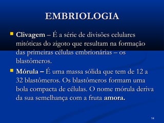14
EMBRIOLOGIA
EMBRIOLOGIA
 Clivagem
Clivagem – É a série de divisões celulares
– É a série de divisões celulares
mitóticas do zigoto que resultam na formação
mitóticas do zigoto que resultam na formação
das primeiras células embrionárias – os
das primeiras células embrionárias – os
blastômeros.
blastômeros.
 Mórula –
Mórula – É uma massa sólida que tem de 12 a
É uma massa sólida que tem de 12 a
32 blastômeros. Os blastômeros formam uma
32 blastômeros. Os blastômeros formam uma
bola compacta de células. O nome mórula deriva
bola compacta de células. O nome mórula deriva
da sua semelhança com a fruta
da sua semelhança com a fruta amora.
amora.
 