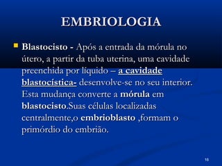 16
EMBRIOLOGIA
EMBRIOLOGIA
 Blastocisto -
Blastocisto - Após a entrada da mórula no
Após a entrada da mórula no
útero, a partir da tuba uterina, uma cavidade
útero, a partir da tuba uterina, uma cavidade
preenchida por líquido –
preenchida por líquido – a cavidade
a cavidade
blastocística-
blastocística- desenvolve-se no seu interior.
desenvolve-se no seu interior.
Esta mudança converte a
Esta mudança converte a mórula
mórula em
em
blastocisto
blastocisto.Suas células localizadas
.Suas células localizadas
centralmente,o
centralmente,o embrioblasto
embrioblasto ,formam o
,formam o
primórdio do embrião.
primórdio do embrião.
 