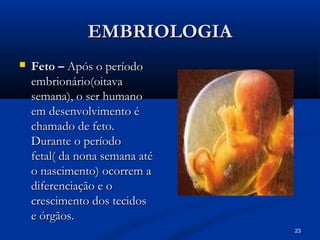 23
EMBRIOLOGIA
EMBRIOLOGIA
 Feto –
Feto – Após o período
Após o período
embrionário(oitava
embrionário(oitava
semana), o ser humano
semana), o ser humano
em desenvolvimento é
em desenvolvimento é
chamado de feto.
chamado de feto.
Durante o período
Durante o período
fetal( da nona semana até
fetal( da nona semana até
o nascimento) ocorrem a
o nascimento) ocorrem a
diferenciação e o
diferenciação e o
crescimento dos tecidos
crescimento dos tecidos
e órgãos.
e órgãos.
 