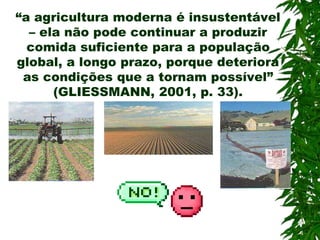 “a agricultura moderna é insustentável
– ela não pode continuar a produzir
comida suficiente para a população
global, a longo prazo, porque deteriora
as condições que a tornam possível”
(GLIESSMANN, 2001, p. 33).
 
