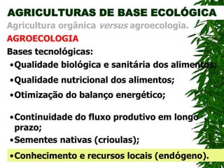 AGRICULTURAS DE BASE ECOLÓGICA
AGROECOLOGIA
Agricultura orgânica versus agroecologia.
Bases tecnológicas:
•Otimização do balanço energético;
•Qualidade biológica e sanitária dos alimentos;
•Qualidade nutricional dos alimentos;
•Continuidade do fluxo produtivo em longo
prazo;
•Sementes nativas (crioulas);
•Conhecimento e recursos locais (endógeno).
 