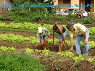 Assist. Técnica a Associação de Jovens Rurais PB
 