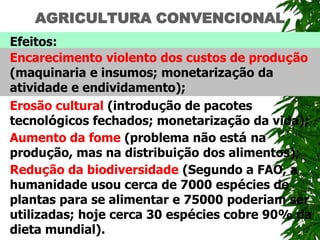 AGRICULTURA CONVENCIONAL
Efeitos:
Encarecimento violento dos custos de produção
(maquinaria e insumos; monetarização da
atividade e endividamento);
Erosão cultural (introdução de pacotes
tecnológicos fechados; monetarização da vida);
Aumento da fome (problema não está na
produção, mas na distribuição dos alimentos);
Redução da biodiversidade (Segundo a FAO, a
humanidade usou cerca de 7000 espécies de
plantas para se alimentar e 75000 poderiam ser
utilizadas; hoje cerca 30 espécies cobre 90% da
dieta mundial).
 